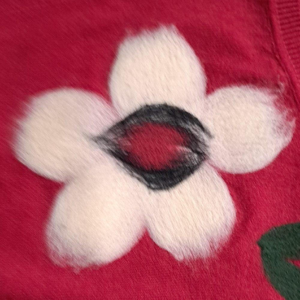 Women's Red V-Neck Sweater with Cream Floral Accent - Picture 5 of 5